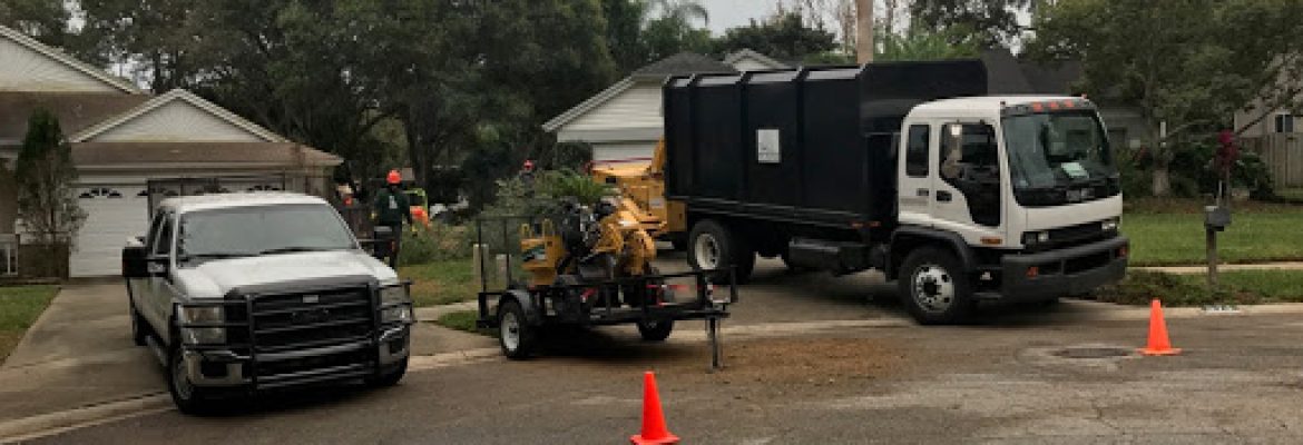 Treeology Tree Service ™