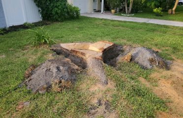 Busy Beaver Stump Removal, Inc