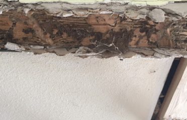 Buggin Out Termite & Pest Control