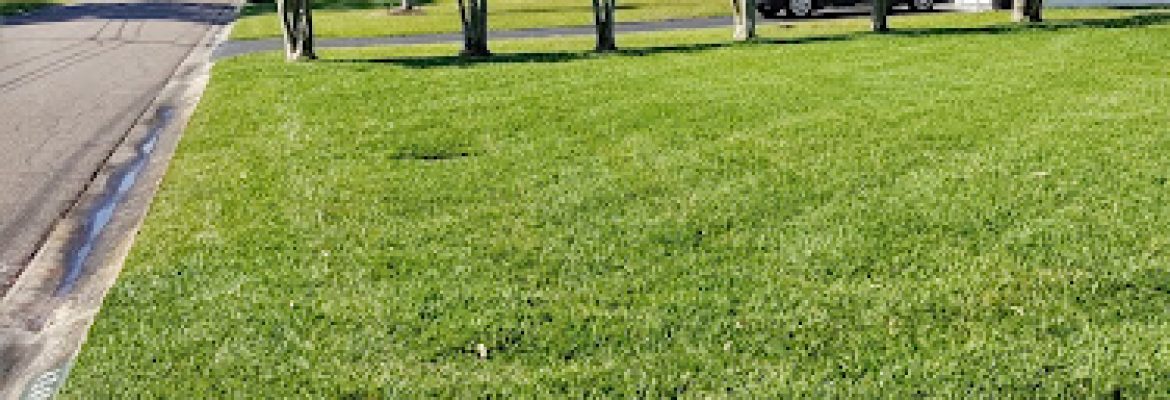 David Brinkley (lawn care , landscaping, trash hauling)