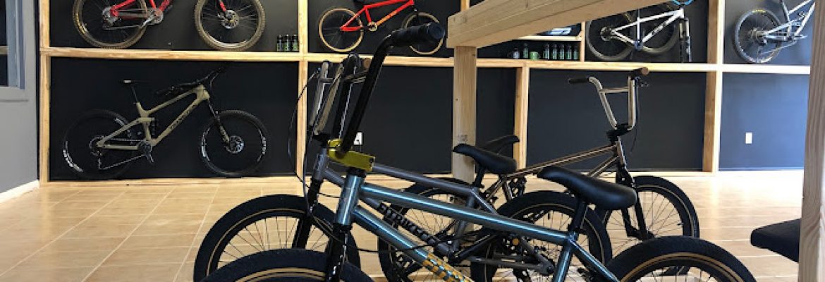 Motorcycle Dealers In Tampa FL, ATV Dealers Tampa FL, Horseback Riding Tampa FL, Tubing In Tampa FL, Motorcycle Dealers St. Petersburg FL, ATV Dealers St. Petersburg FL, Horseback Riding St. Petersburg FL, Tubing In St. Petersburg FL