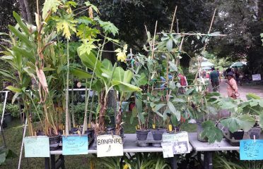ABC Tropical Plant Nursery, Inc.