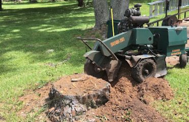 LEE PARKER STUMP GRINDING AND TREE SERVICE LLC