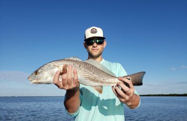 Tampa Bay FL Fishing Charters, Fishing Charters Tampa Bay FL, Deep Sea Fishing Tampa FL, Fishing Charters Tampa FL, Fishing Charter Tampa Bay FL, Tampa FL Fishing Boats, Deep Sea Fishing Tampa Bay FL