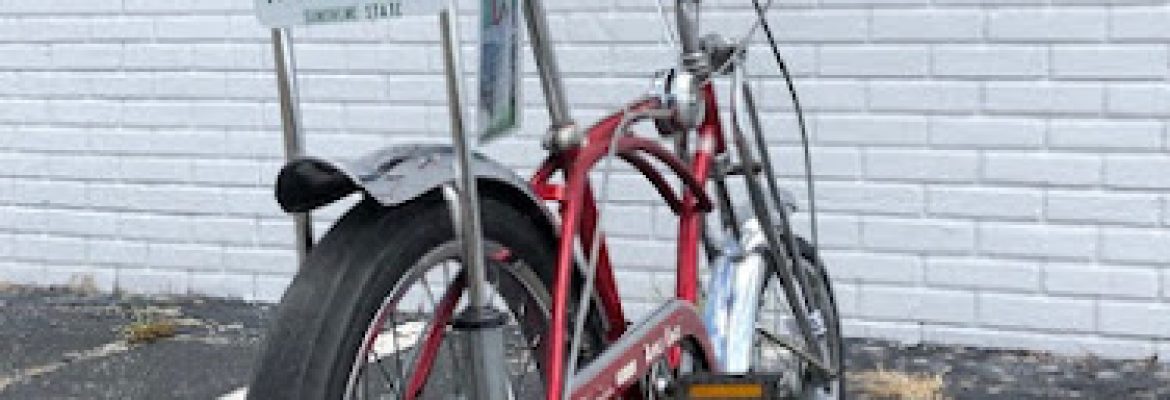 Motorcycle Dealers In Tampa FL, ATV Dealers Tampa FL, Horseback Riding Tampa FL, Tubing In Tampa FL, Motorcycle Dealers St. Petersburg FL, ATV Dealers St. Petersburg FL, Horseback Riding St. Petersburg FL, Tubing In St. Petersburg FL
