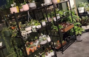 Gemma Floral Boutique