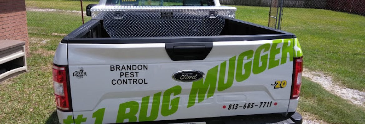 Brandon Pest Control, Inc.