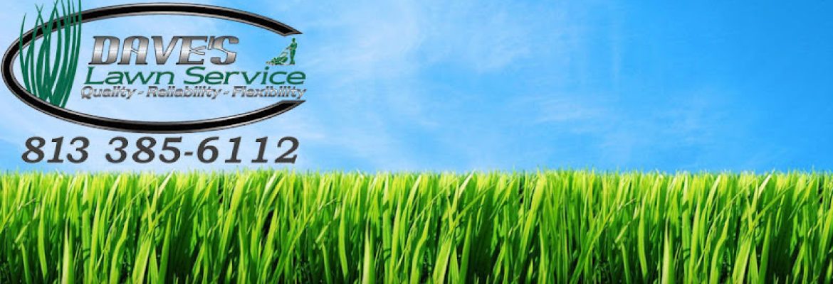 Dave’s Lawn Service
