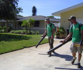 Green Thing Lawn Care