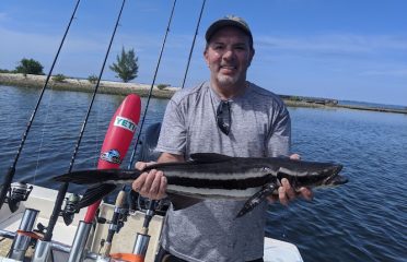 Tampa Bay FL Fishing Charters, Fishing Charters Tampa Bay FL, Deep Sea Fishing Tampa FL, Fishing Charters Tampa FL, Fishing Charter Tampa Bay FL, Tampa FL Fishing Boats, Deep Sea Fishing Tampa Bay FL