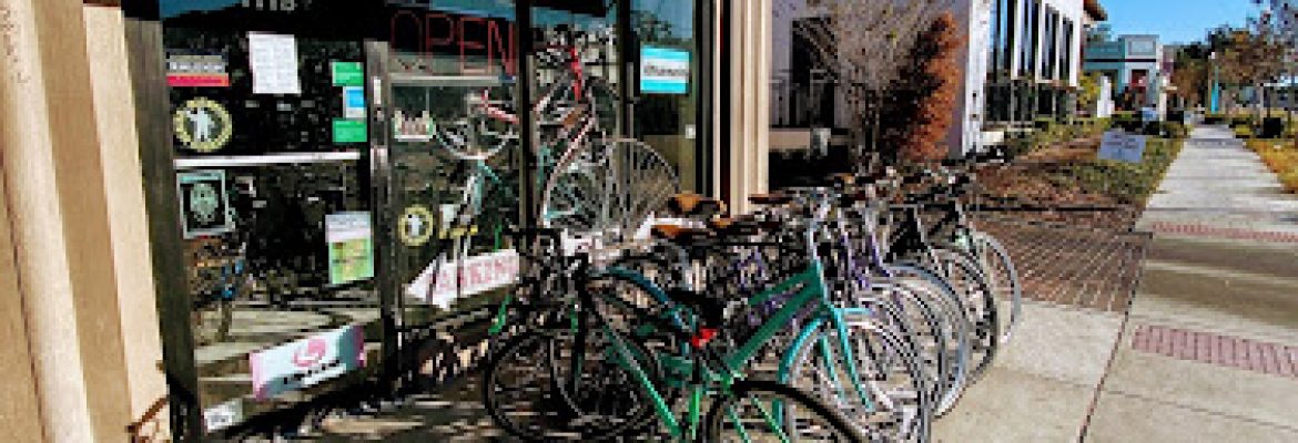 North East Cycles