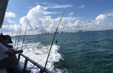 Tampa Bay FL Fishing Charters, Fishing Charters Tampa Bay FL, Deep Sea Fishing Tampa FL, Fishing Charters Tampa FL, Fishing Charter Tampa Bay FL, Tampa FL Fishing Boats, Deep Sea Fishing Tampa Bay FL