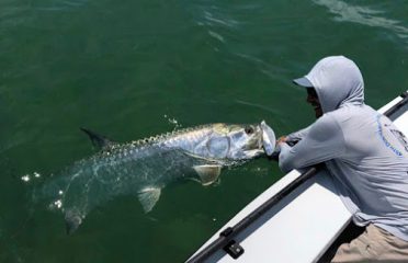 Tampa Bay FL Fishing Charters, Fishing Charters Tampa Bay FL, Deep Sea Fishing Tampa FL, Fishing Charters Tampa FL, Fishing Charter Tampa Bay FL, Tampa FL Fishing Boats, Deep Sea Fishing Tampa Bay FL