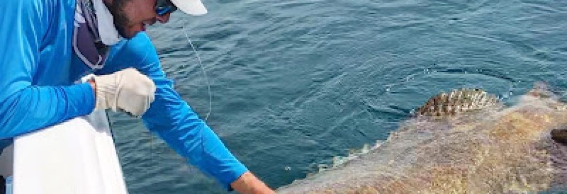 Tampa Bay FL Fishing Charters, Fishing Charters Tampa Bay FL, Deep Sea Fishing Tampa FL, Fishing Charters Tampa FL, Fishing Charter Tampa Bay FL, Tampa FL Fishing Boats, Deep Sea Fishing Tampa Bay FL
