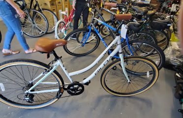 Motorcycle Dealers In Tampa FL, ATV Dealers Tampa FL, Horseback Riding Tampa FL, Tubing In Tampa FL, Motorcycle Dealers St. Petersburg FL, ATV Dealers St. Petersburg FL, Horseback Riding St. Petersburg FL, Tubing In St. Petersburg FL