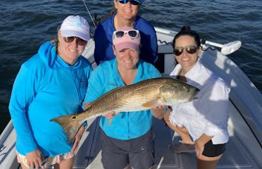 Tampa Bay FL Fishing Charters, Fishing Charters Tampa Bay FL, Deep Sea Fishing Tampa FL, Fishing Charters Tampa FL, Fishing Charter Tampa Bay FL, Tampa FL Fishing Boats, Deep Sea Fishing Tampa Bay FL