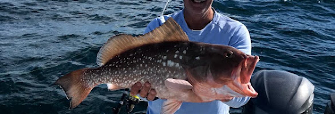 Tampa Bay FL Fishing Charters, Fishing Charters Tampa Bay FL, Deep Sea Fishing Tampa FL, Fishing Charters Tampa FL, Fishing Charter Tampa Bay FL, Tampa FL Fishing Boats, Deep Sea Fishing Tampa Bay FL