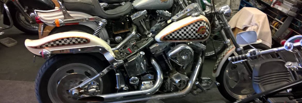 Motorcycle Dealers In Tampa FL, ATV Dealers Tampa FL, Horseback Riding Tampa FL, Tubing In Tampa FL, Motorcycle Dealers St. Petersburg FL, ATV Dealers St. Petersburg FL, Horseback Riding St. Petersburg FL, Tubing In St. Petersburg FL