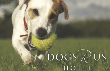 Dogs R Us Hotel