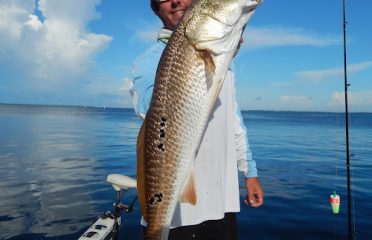 Tampa Bay FL Fishing Charters, Fishing Charters Tampa Bay FL, Deep Sea Fishing Tampa FL, Fishing Charters Tampa FL, Fishing Charter Tampa Bay FL, Tampa FL Fishing Boats, Deep Sea Fishing Tampa Bay FL