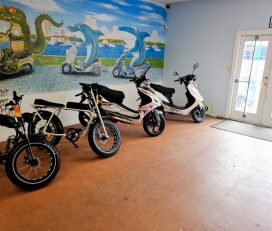 St. Pete Scooter Quality you can afford. Great service you can count on!