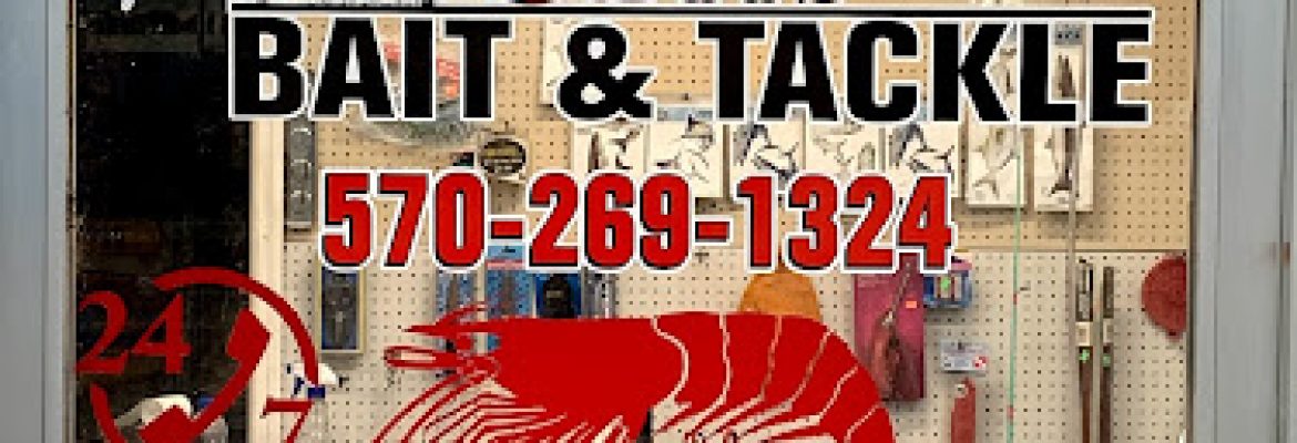 Tampa Bay FL Fishing Charters, Fishing Charters Tampa Bay FL, Deep Sea Fishing Tampa FL, Fishing Charters Tampa FL, Fishing Charter Tampa Bay FL, Tampa FL Fishing Boats, Deep Sea Fishing Tampa Bay FL