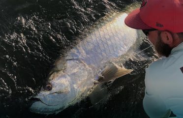 Tampa Bay FL Fishing Charters, Fishing Charters Tampa Bay FL, Deep Sea Fishing Tampa FL, Fishing Charters Tampa FL, Fishing Charter Tampa Bay FL, Tampa FL Fishing Boats, Deep Sea Fishing Tampa Bay FL