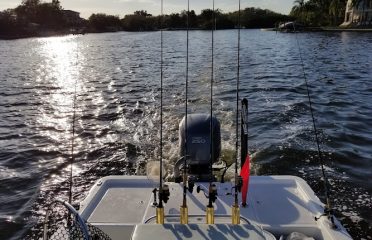 Tampa Bay FL Fishing Charters, Fishing Charters Tampa Bay FL, Deep Sea Fishing Tampa FL, Fishing Charters Tampa FL, Fishing Charter Tampa Bay FL, Tampa FL Fishing Boats, Deep Sea Fishing Tampa Bay FL