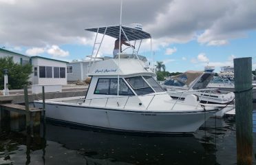 Reef Relief Charters