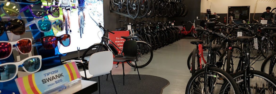 Motorcycle Dealers In Tampa FL, ATV Dealers Tampa FL, Horseback Riding Tampa FL, Tubing In Tampa FL, Motorcycle Dealers St. Petersburg FL, ATV Dealers St. Petersburg FL, Horseback Riding St. Petersburg FL, Tubing In St. Petersburg FL
