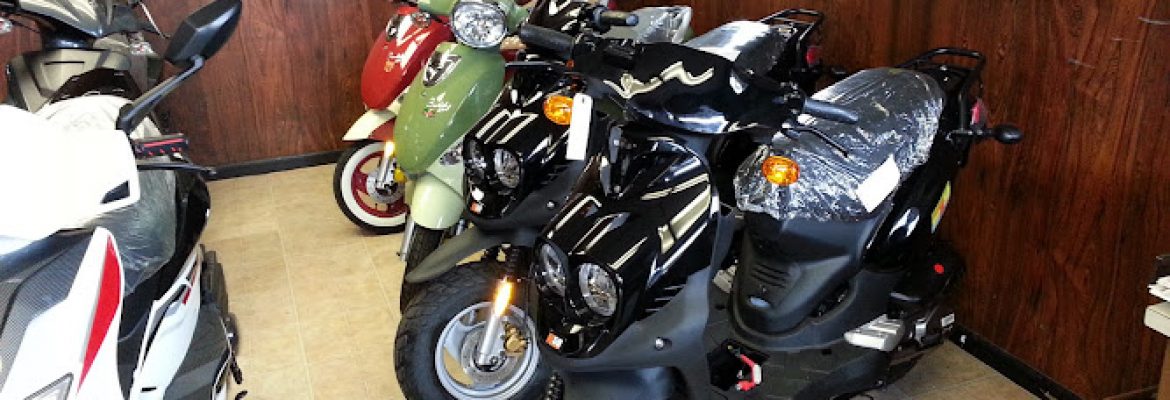 Motorcycle Dealers In Tampa FL, ATV Dealers Tampa FL, Horseback Riding Tampa FL, Tubing In Tampa FL, Motorcycle Dealers St. Petersburg FL, ATV Dealers St. Petersburg FL, Horseback Riding St. Petersburg FL, Tubing In St. Petersburg FL
