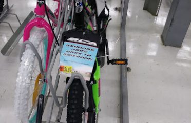 Motorcycle Dealers In Tampa FL, ATV Dealers Tampa FL, Horseback Riding Tampa FL, Tubing In Tampa FL, Motorcycle Dealers St. Petersburg FL, ATV Dealers St. Petersburg FL, Horseback Riding St. Petersburg FL, Tubing In St. Petersburg FL