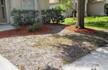 Eric Lawn Care Tampa