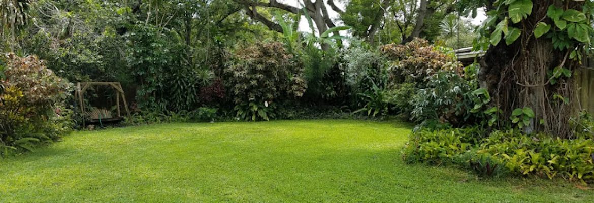 Progress lawn care and tree service