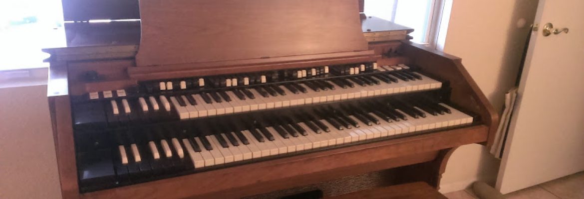 Music Stores In Tampa FL, Music Lessons In Tampa FL, Musical Instruments In Tampa FL, Tampa FL Music Stores, Tampa FL Music Lessons, Music Stores In St. Petersburg FL, Music Lessons In St. Petersburg FL, Musical Instruments In St. Petersburg FL