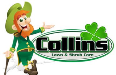 Collins Lawn & Shrub Care llc