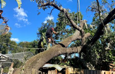 A bakers tree Service