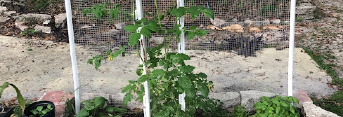 Whitwam Organics