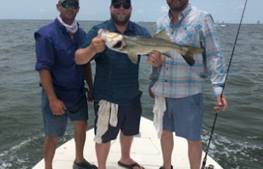 Tampa Bay FL Fishing Charters, Fishing Charters Tampa Bay FL, Deep Sea Fishing Tampa FL, Fishing Charters Tampa FL, Fishing Charter Tampa Bay FL, Tampa FL Fishing Boats, Deep Sea Fishing Tampa Bay FL