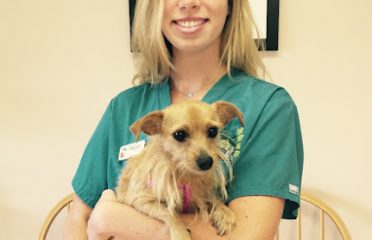 Court Street Animal Hospital