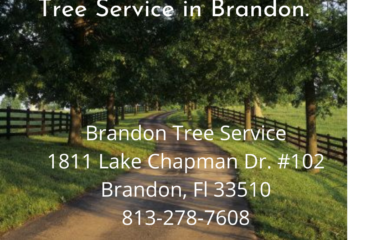 Brandon Tree Service