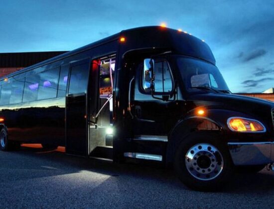 Blue Sky Black Limo Service